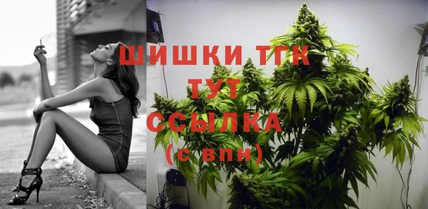 экстази Богданович